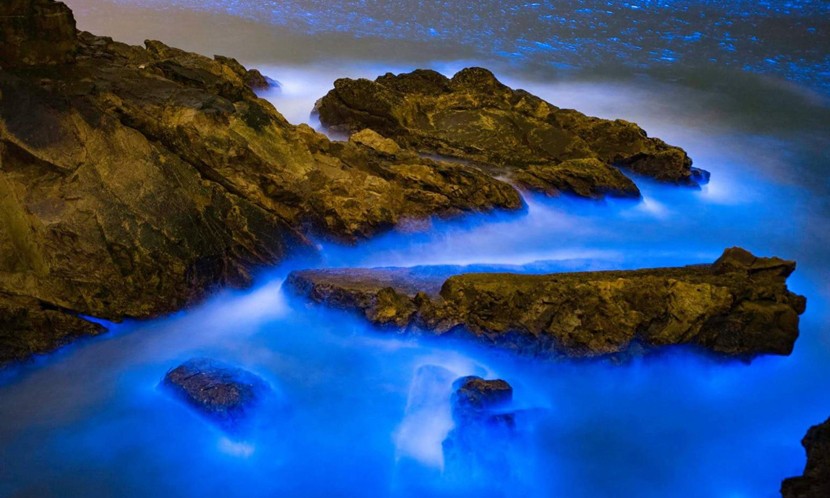 馬祖藍眼淚夜景,海水閃爍藍光與礁岩交錯的夢幻畫面